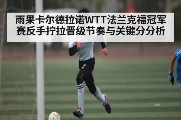 雨果卡尔德拉诺WTT法兰克福冠军赛反手拧拉晋级节奏与关键分分析